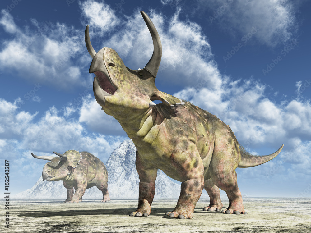 Fototapeta premium Dinosaurier Nasutoceratops