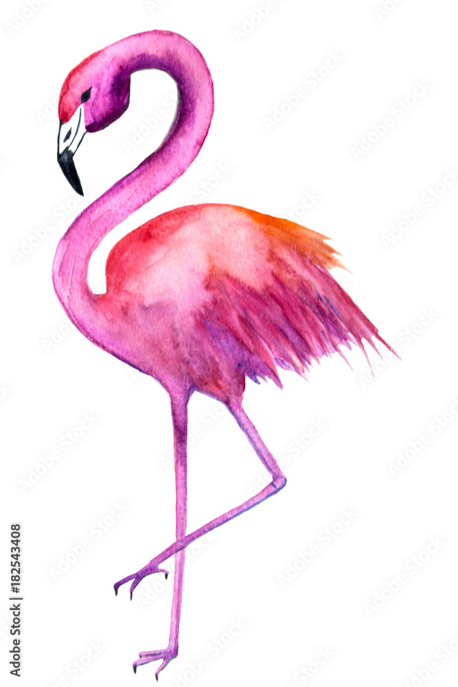Naklejka premium flamingo watercolor