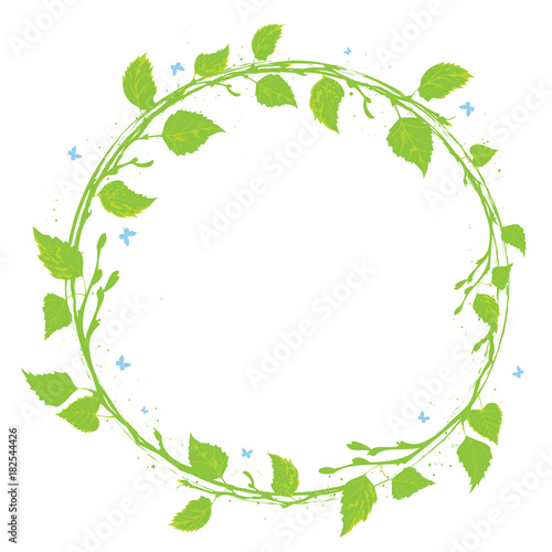 frame with birch