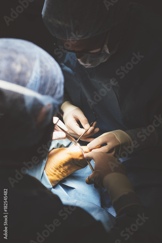 People carrying out surgery photo