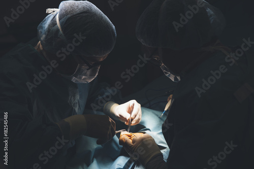 People carrying out surgery photo