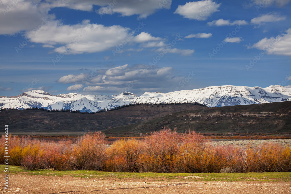 Grand Teton