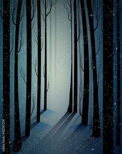 deep fairy frosty winter forest with mistery light, shadows, sullen winter forest, scared cold frosty woods,