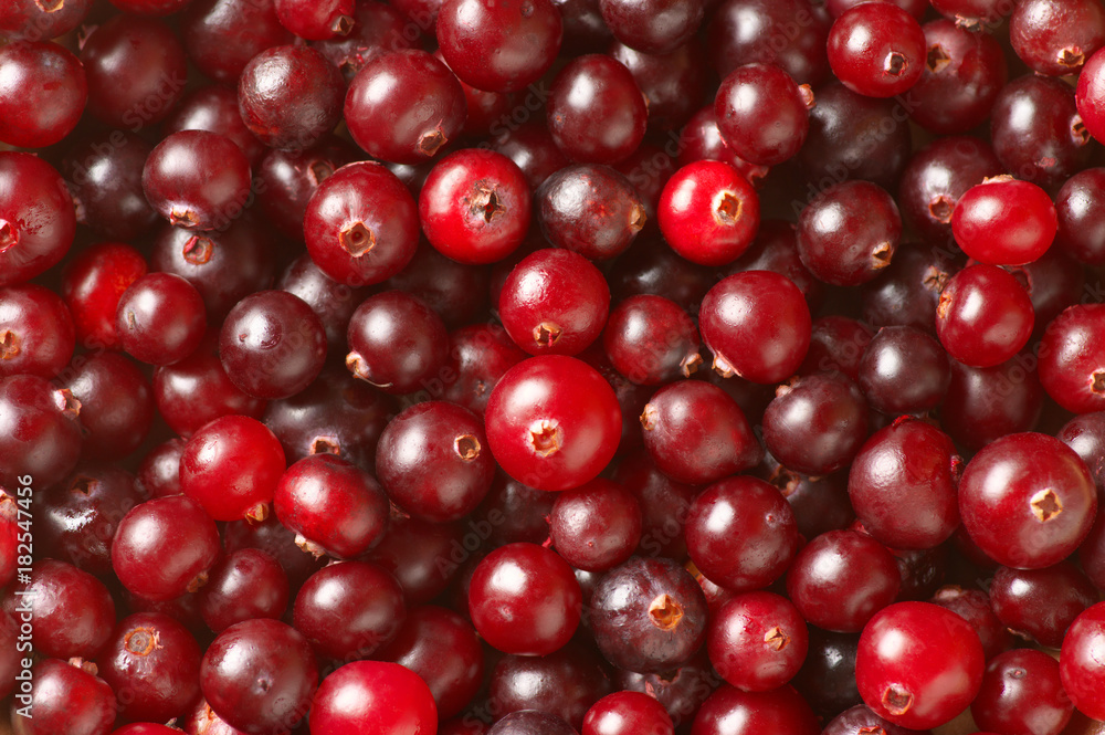Cranberries close-up background Cranberries close-up background
