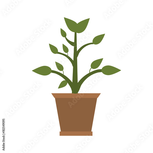 Plant in vase icon vector illustration graphic design