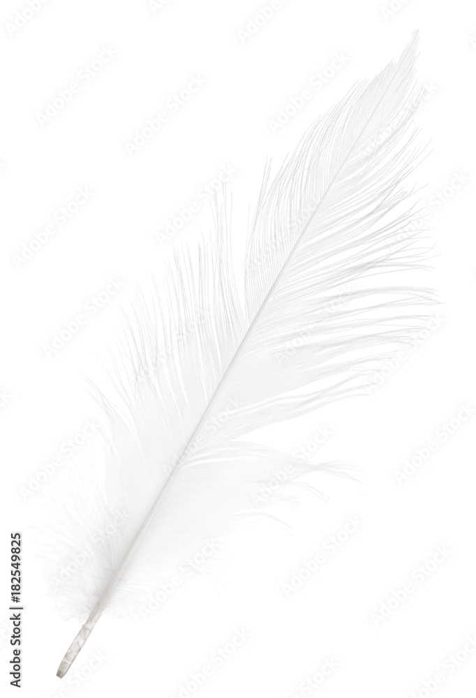 pure soft white straight feather pure soft white straight feather