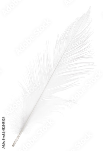 pure soft white straight feather