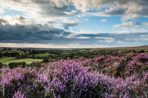 North Yorkshire Moors 