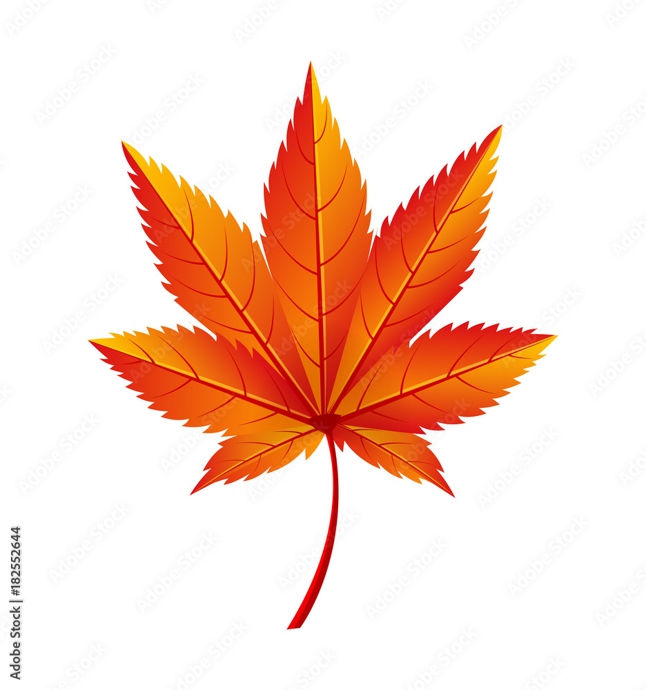 Fototapeta premium Autumn Golden Yellow Leaf Vector Illustration Icon