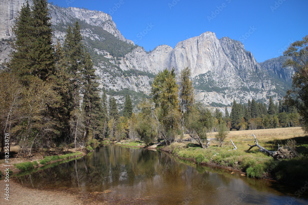 Yosemite National Park tree waterfall outdoors