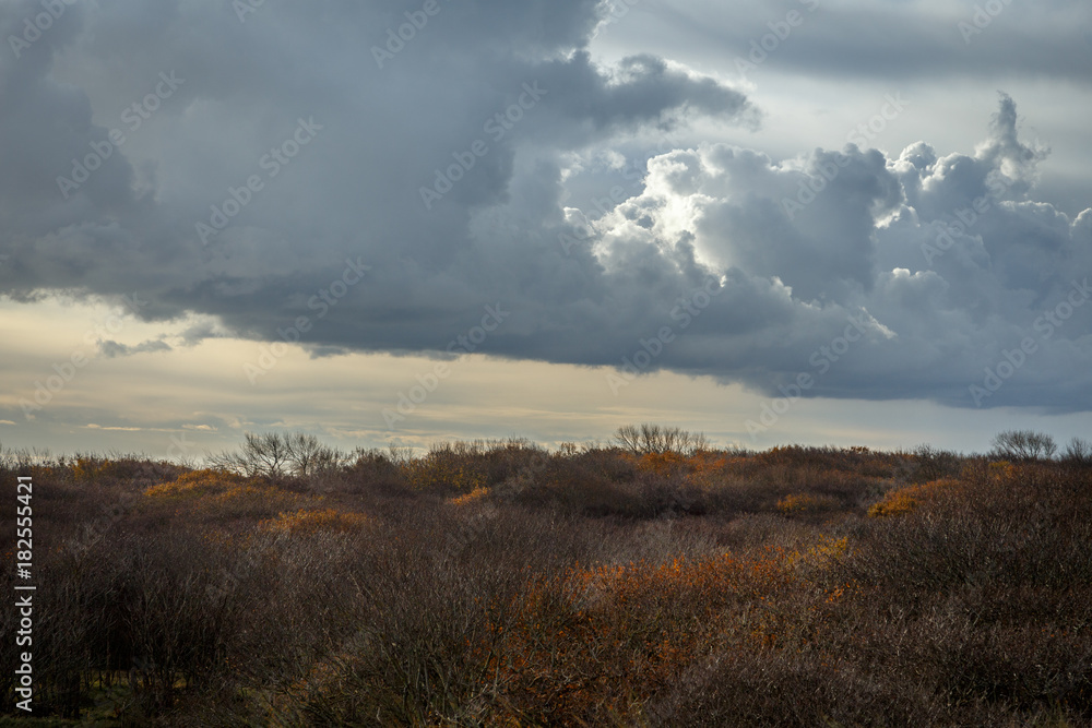 Dune landscape in Fall Dune landscape in Fall