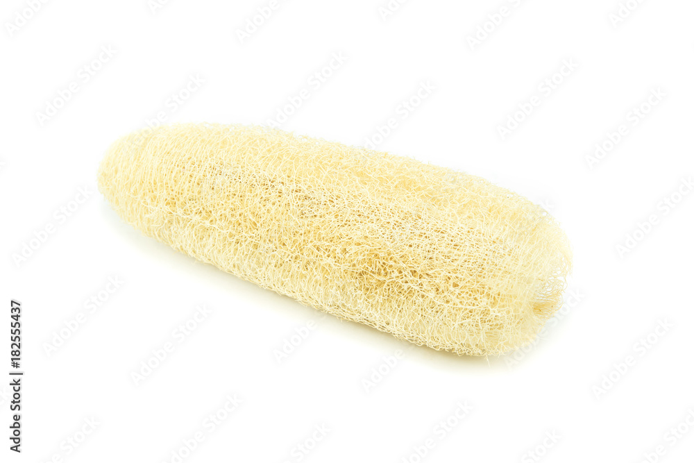 Luffa sponge  for body scrub on white background