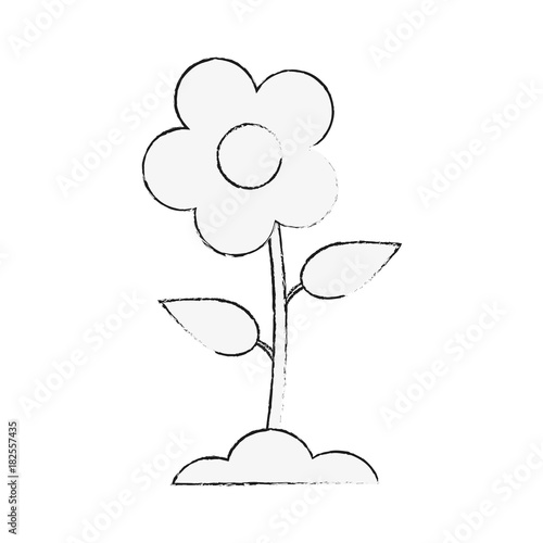 Beautiful flower planted icon vector illustration graphic design