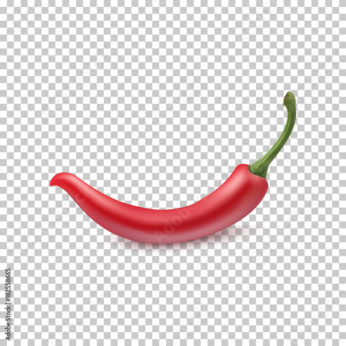 Red chili pepper. Vector illustration.