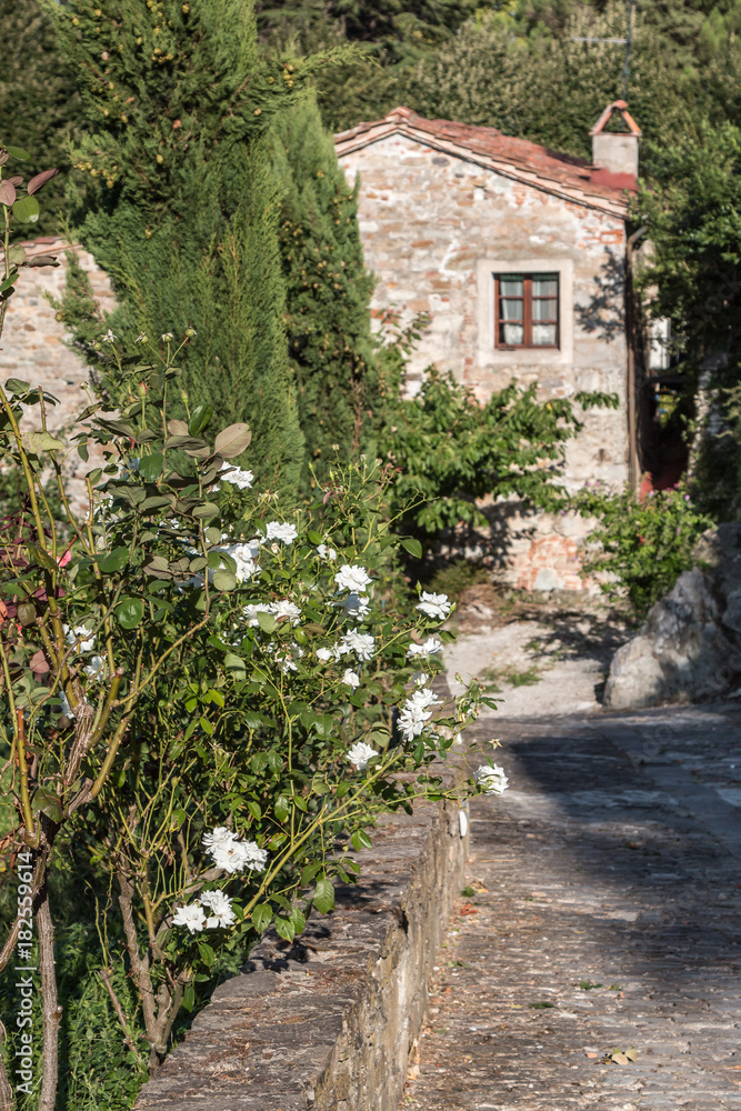 Narrow Street with Stone Flooring and White Flowers in Italian Village and House with Stone Facade in background