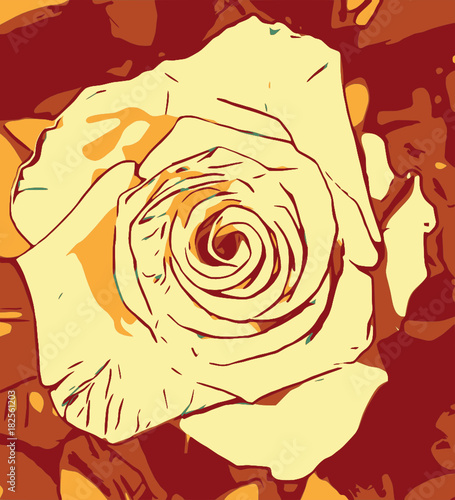 Rosa