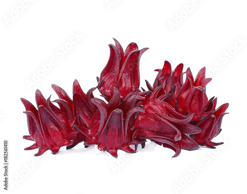Roselle Hibiscus sabdariffa red fruit flower isolate on white background.
