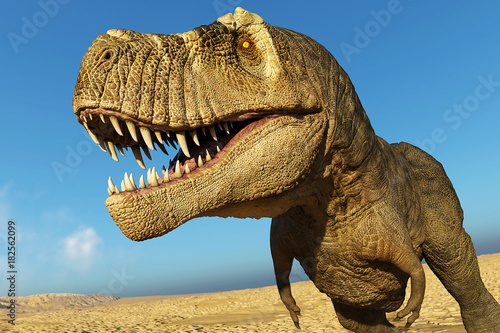 tyrannosaurus rex in desert close up