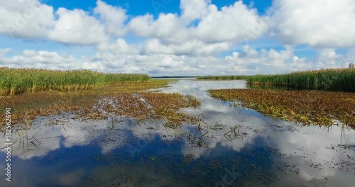Low flight over the mirror-like reflective surface of still water with marsh plants, reeds and dry cane thickets. 4k Aerial footage.