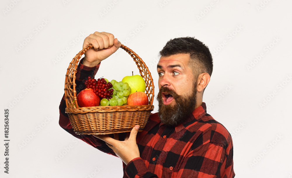 Guy holds homegrown harvest. Man with beard holds fruit basket Guy holds homegrown harvest. Man with beard holds fruit basket