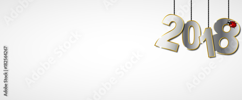 Silvester 2018 - Banner (Silber/ Weiß)