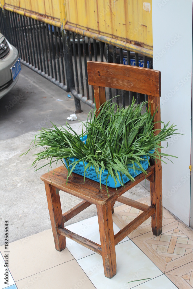 Φωτογραφία Vegetables on a Wooden Chair in Guangdong China Asia