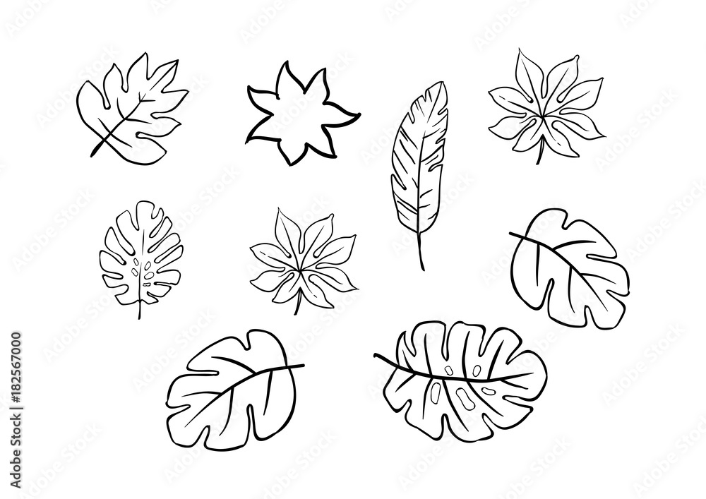 Tropical Leaf Completed Set Tropical Leaf Completed Set