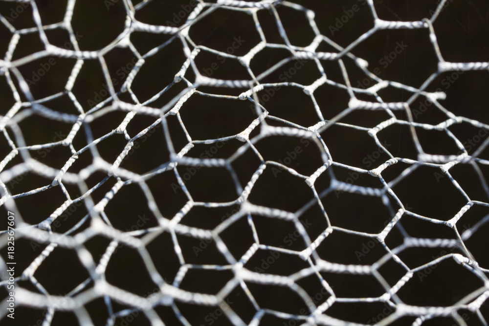 Mesh of wire mesh. Mesh of wire mesh.