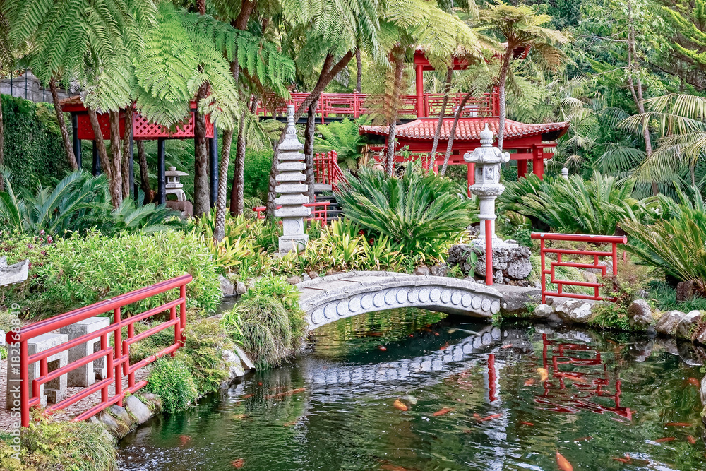 Fototapeta Madeira - Monte Palace Tropical Garden