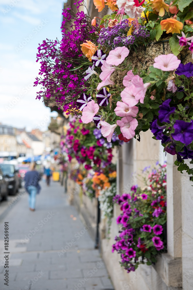 Colorful Flowers hanged along the street