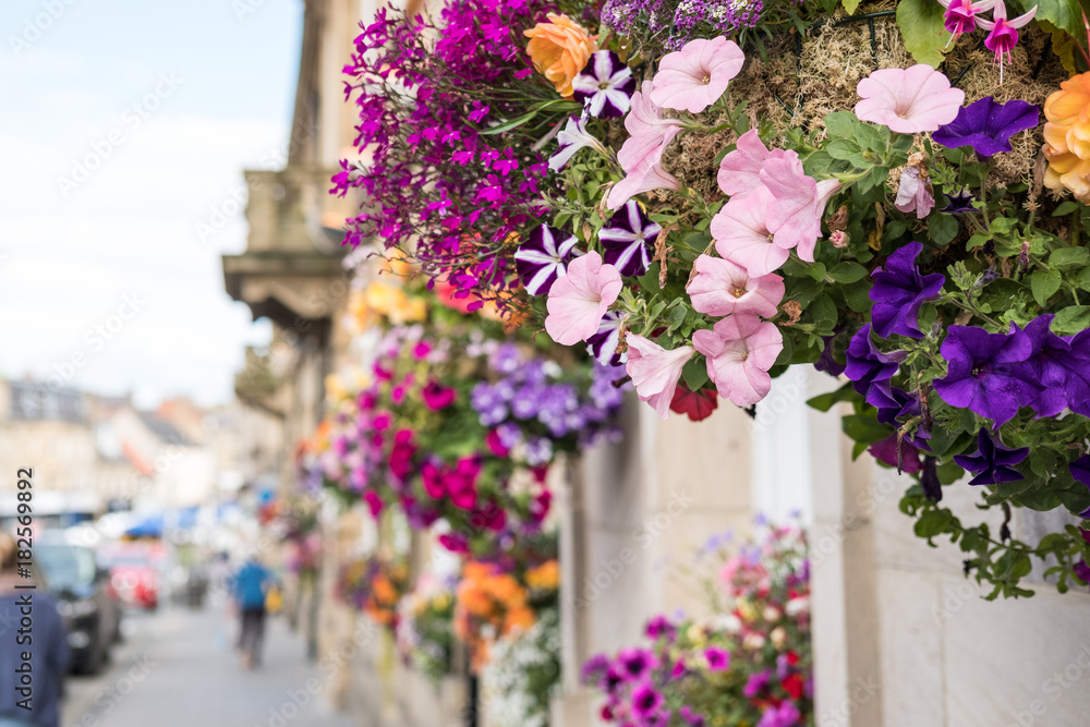Colorful Flowers hanged along the street