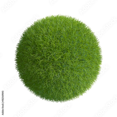 Grass sphere. Isolated on w...