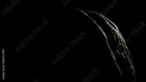 Walnut on black background in rotation