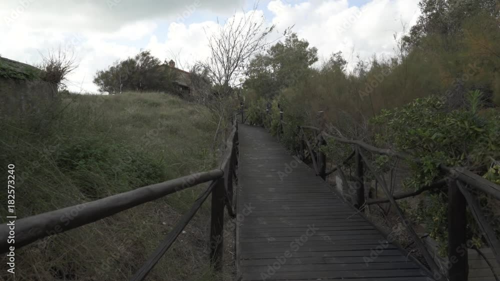 A wooden trail by the sea on a windy day A wooden trail by the sea on a windy day