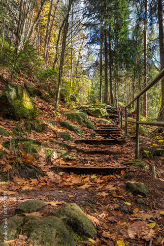 Nationalpark S  chsische Schweiz