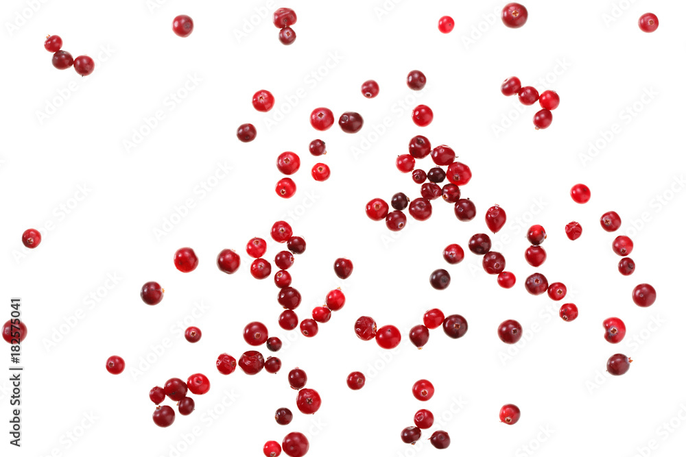 Berries cranberries isolated on white background.