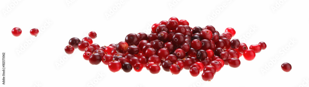 Berries cranberries isolated on white background. Berries cranberries isolated on white background.