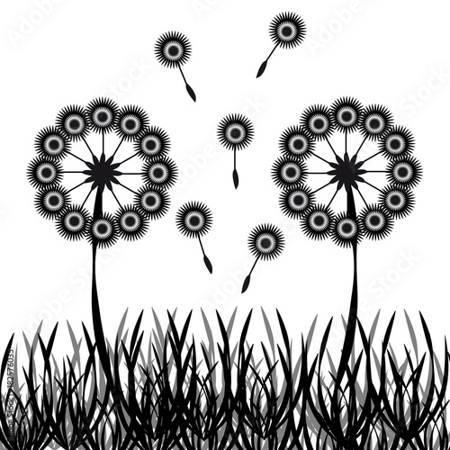 Fototapeta Naklejka Na Ścianę i Meble -  Dandelions silhouette with grass isolated on white background