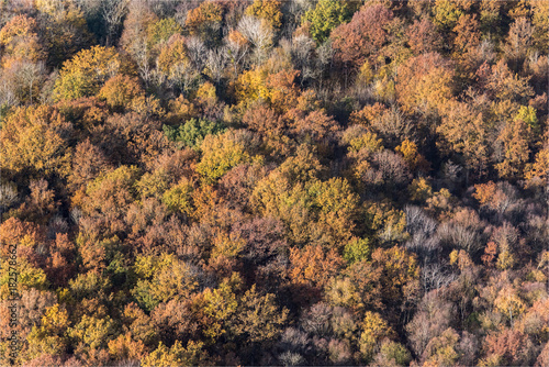 Vue aérienne de forêt à l'automne à Villers en Arthies dans le Val d'Oise en France