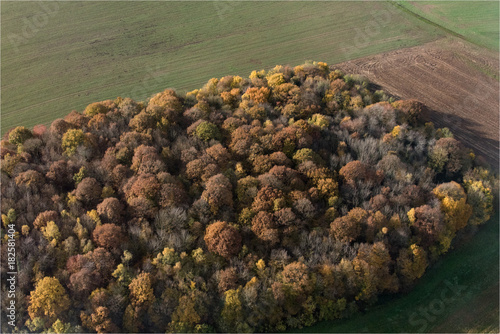 Vue aérienne de la forêt en automne à Brueil-en-Vexin dans les Yvelines en France