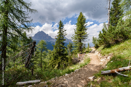 Hiking trail trough forest in dolomiti mountain 