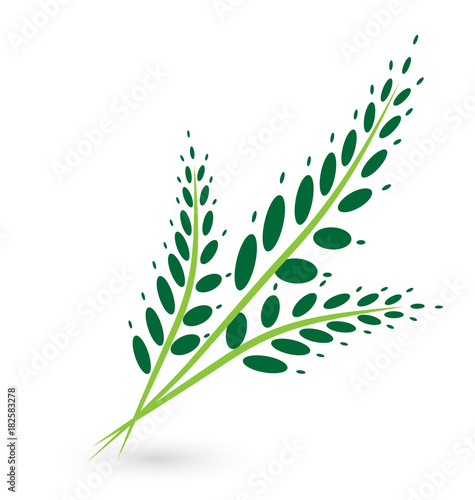 Tropical palm leaf icon