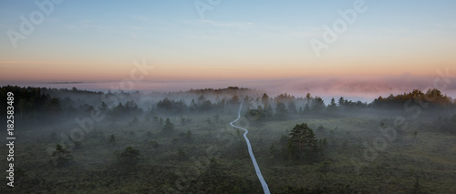 A bog path into the pink mist