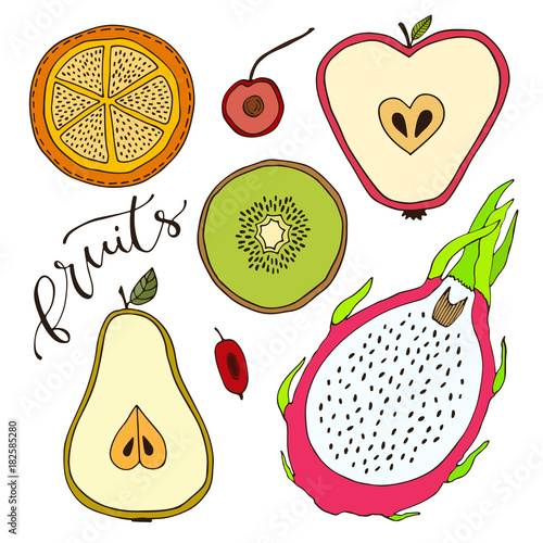Colorful sliced fruits. Apple, pear, pitaya, kiwi, orange isolated on white background. Vector illustration.