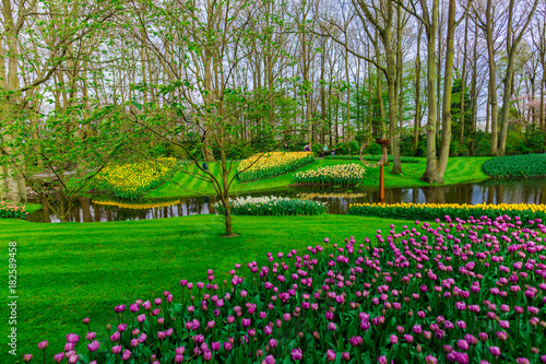 Keukenhof gardens