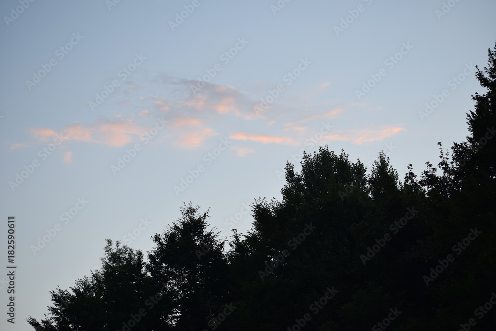 Fototapeta premium sky