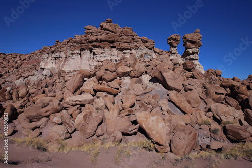 eroded rocks in petrified forest NP