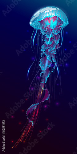 Vector illustration of fantasy glowing jellyfish in the ocean