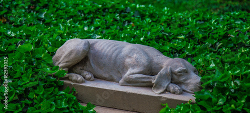 Fototapeta Naklejka Na Ścianę i Meble -  dog sculpture