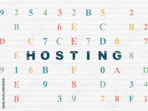 Web design concept: Painted blue text Hosting on White Brick wall background with Hexadecimal Code